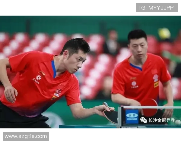 乒乓球技术深度解析：北京乒乓球队的训练与战术创新探讨