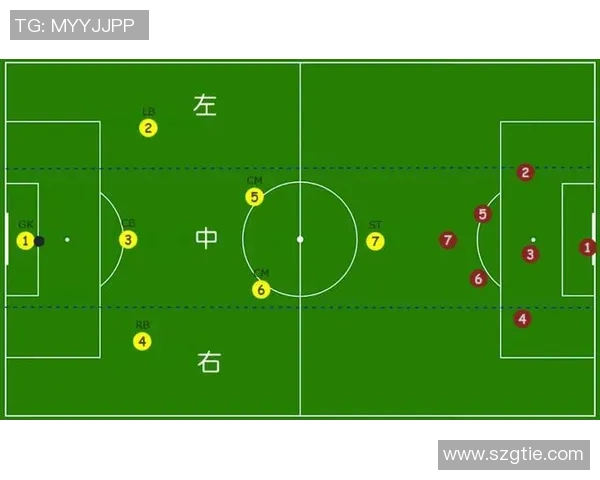 北京排球队防守体系解析与战术运用探讨