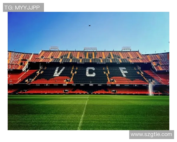 巴伦西亚足球队的辉煌历程与未来展望：从辉煌岁月到重返巅峰的征程